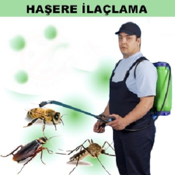 Olur Böcek İlaçlama